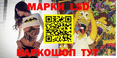 a pvp Камышлов