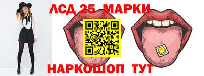 a pvp Камышлов