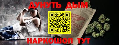 a pvp Камышлов