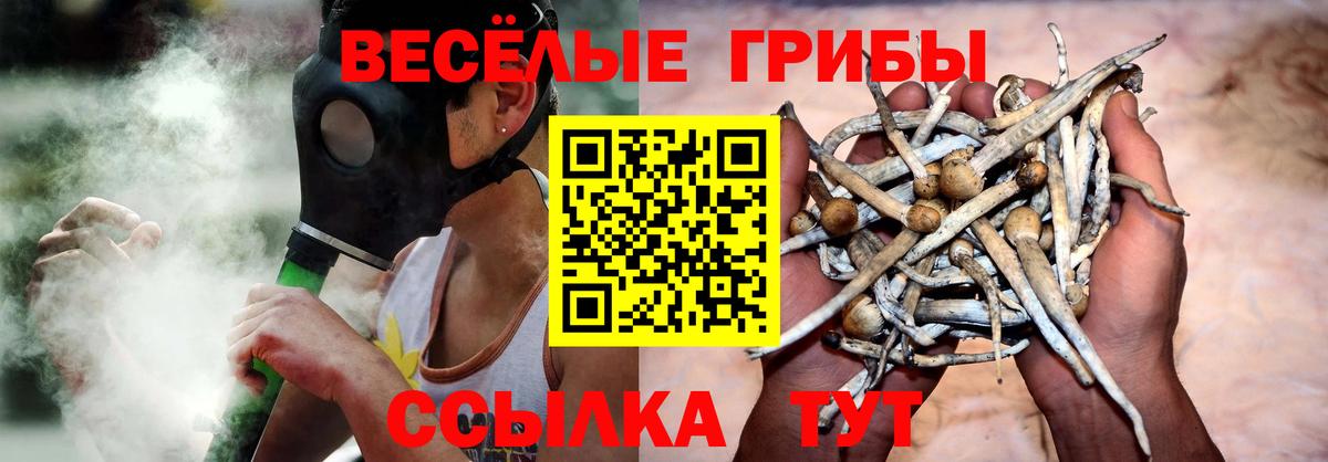 Галлюциногенные грибы Cubensis  Вход с VPN  Кохма 